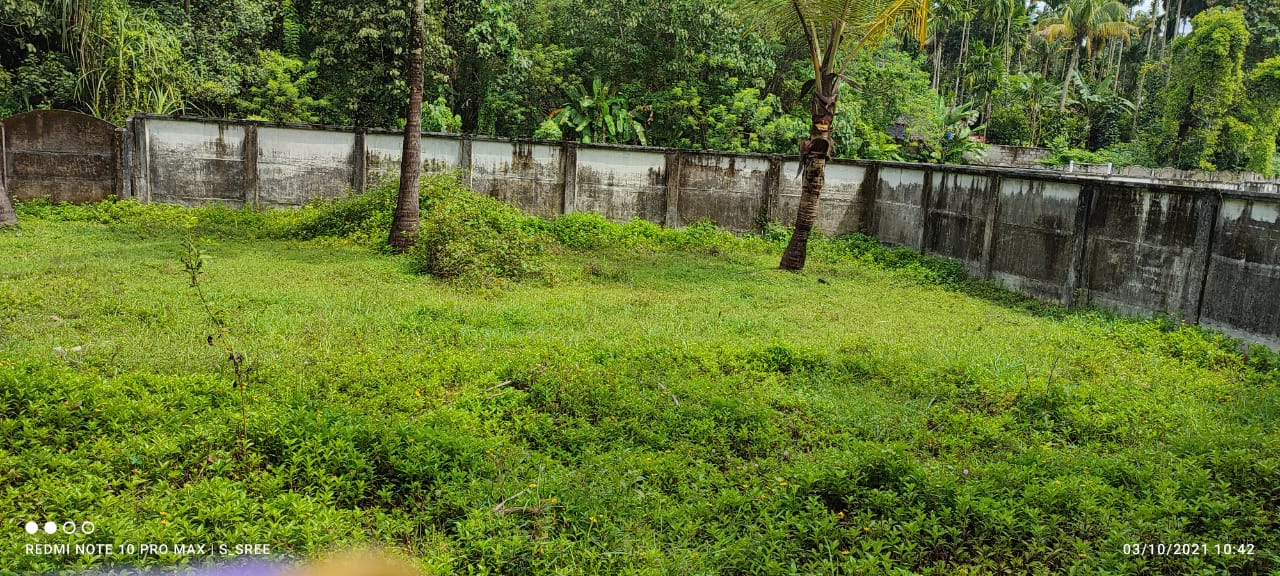 irinjalakuda chunkam plot for sale