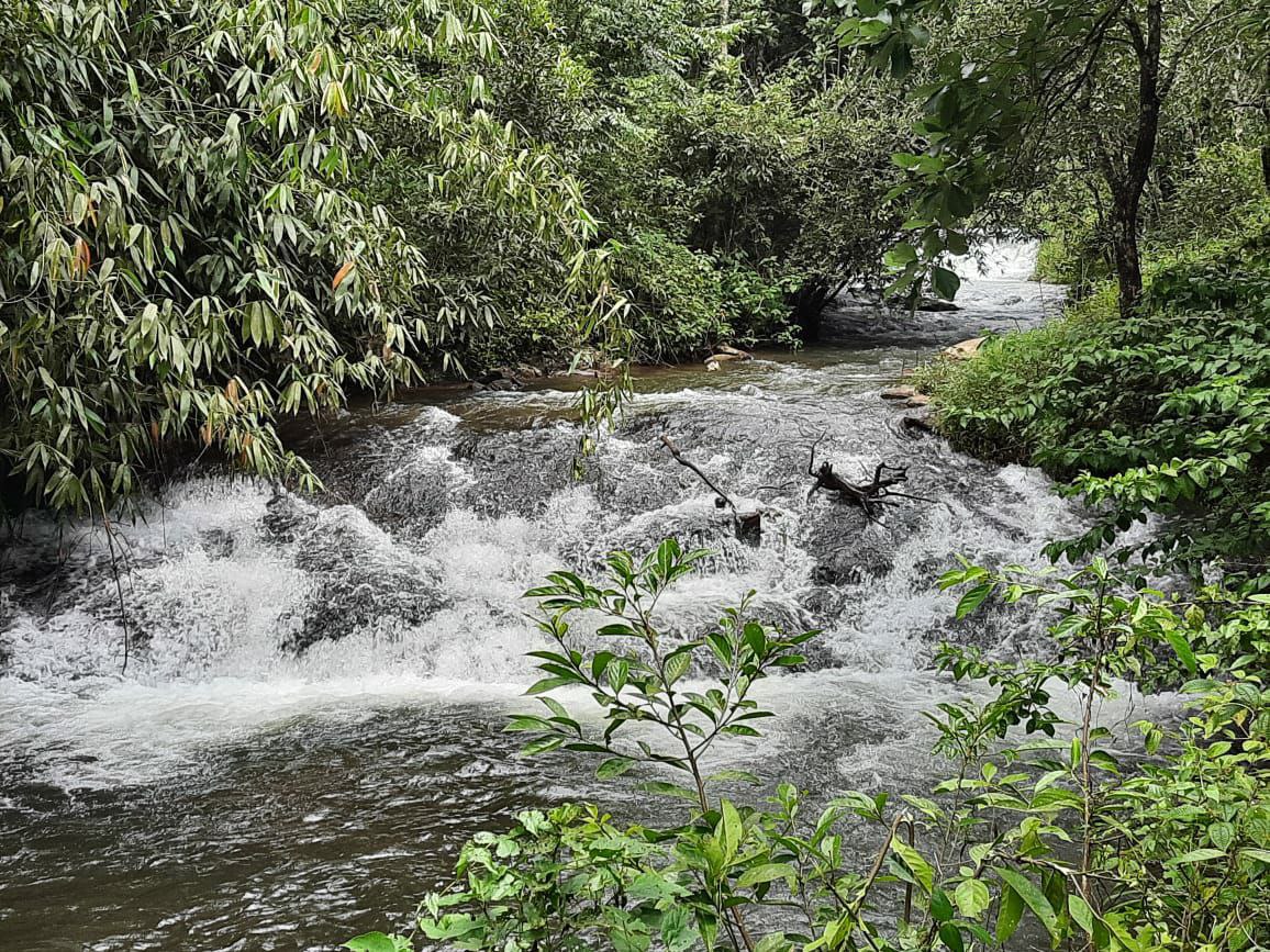 LAND FOR SALE | IDUKKI , THEKKEDY 