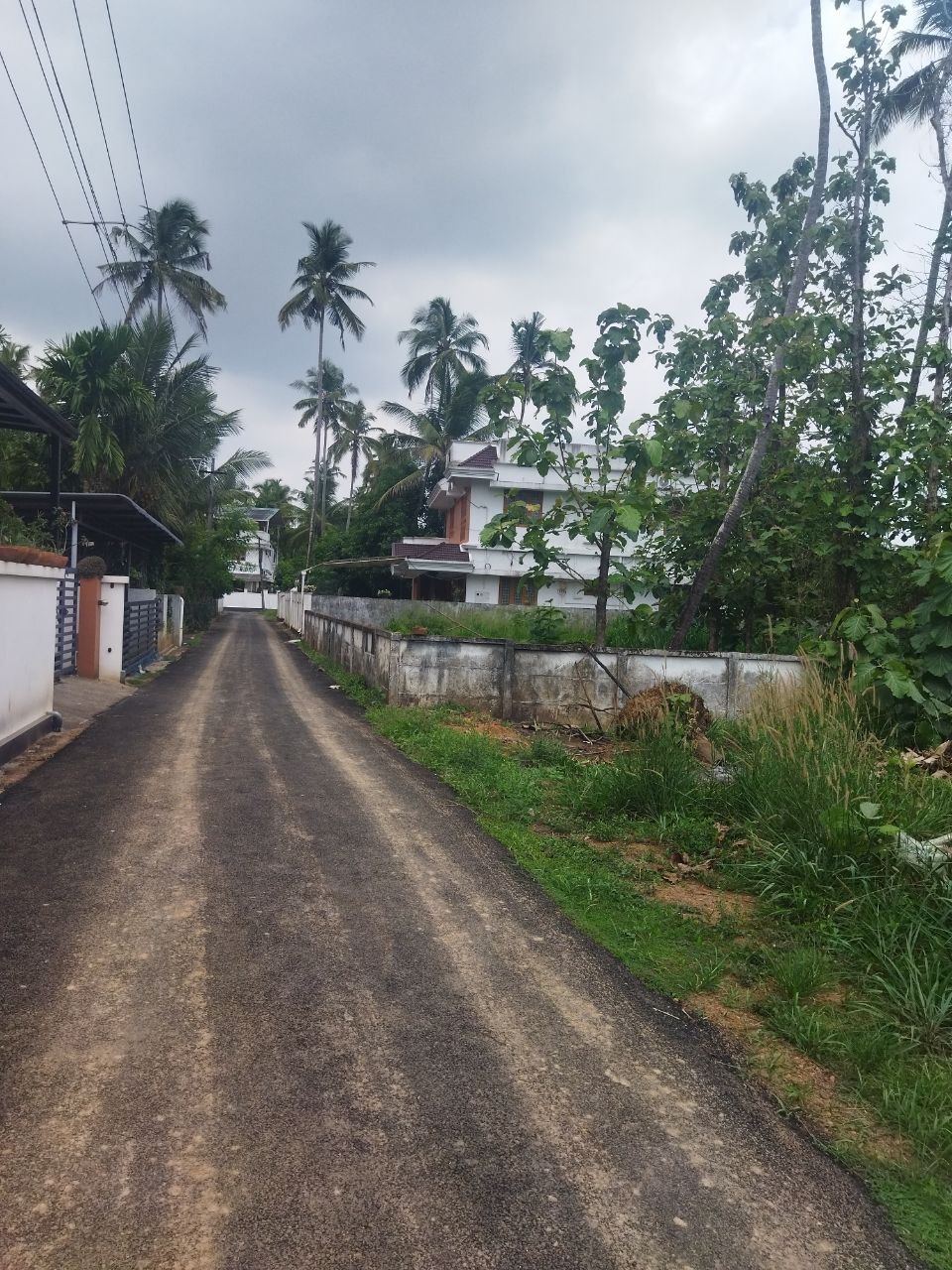 LAND FOR SALE | NADATHARA 