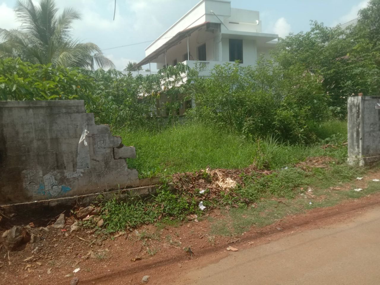 Small Image