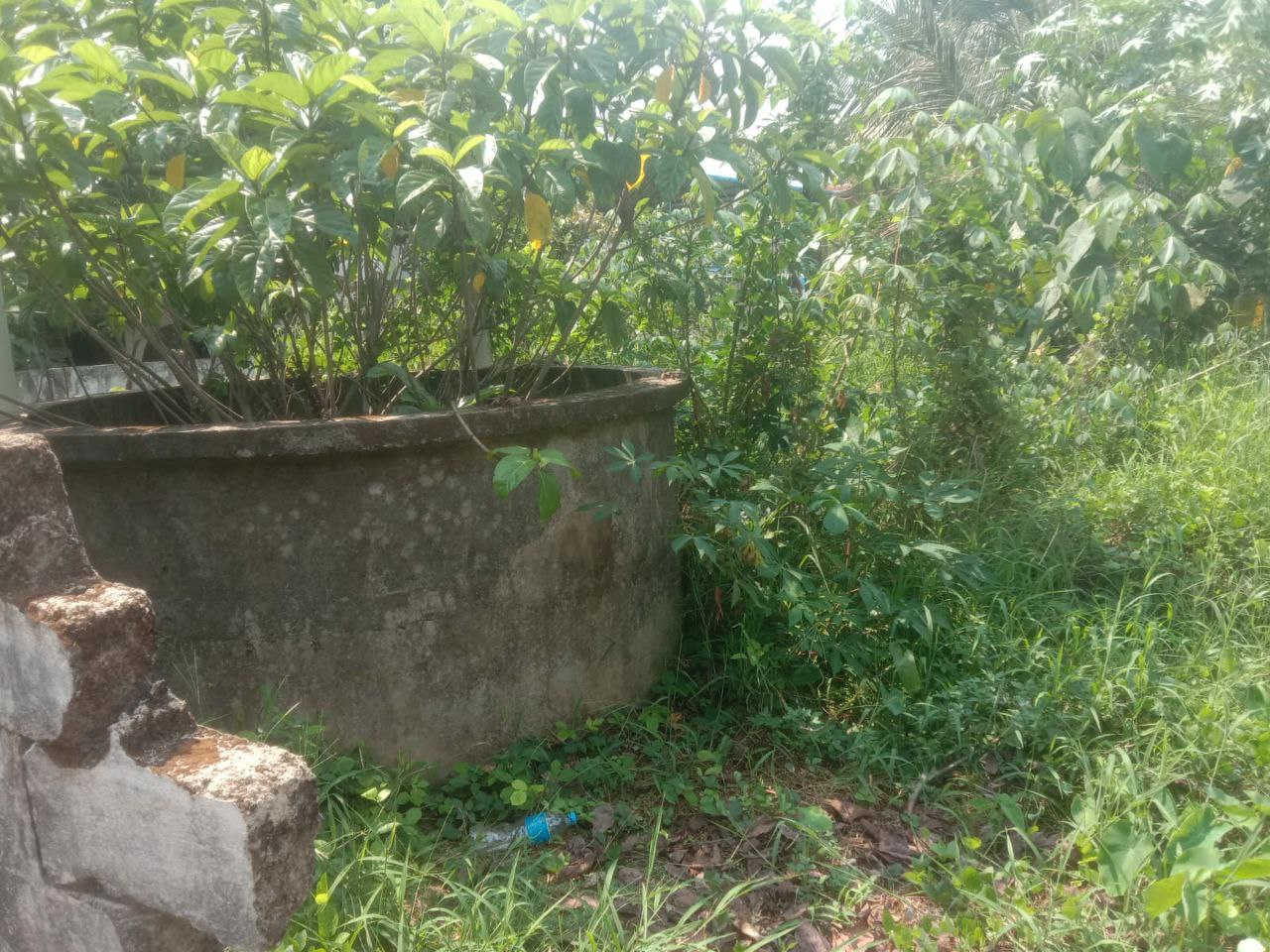 Small Image
