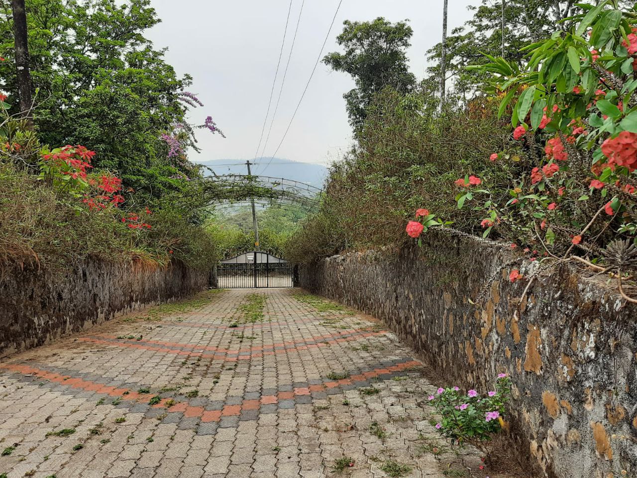 Small Image