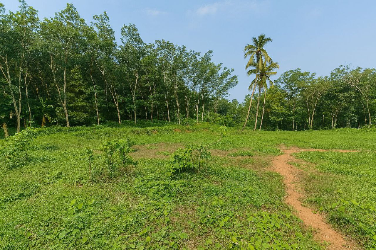 PANNIYANKARA TOLL NEAR | LAND FOR SALE | 2.45 ACRE | HIGHWAY 1 KM |