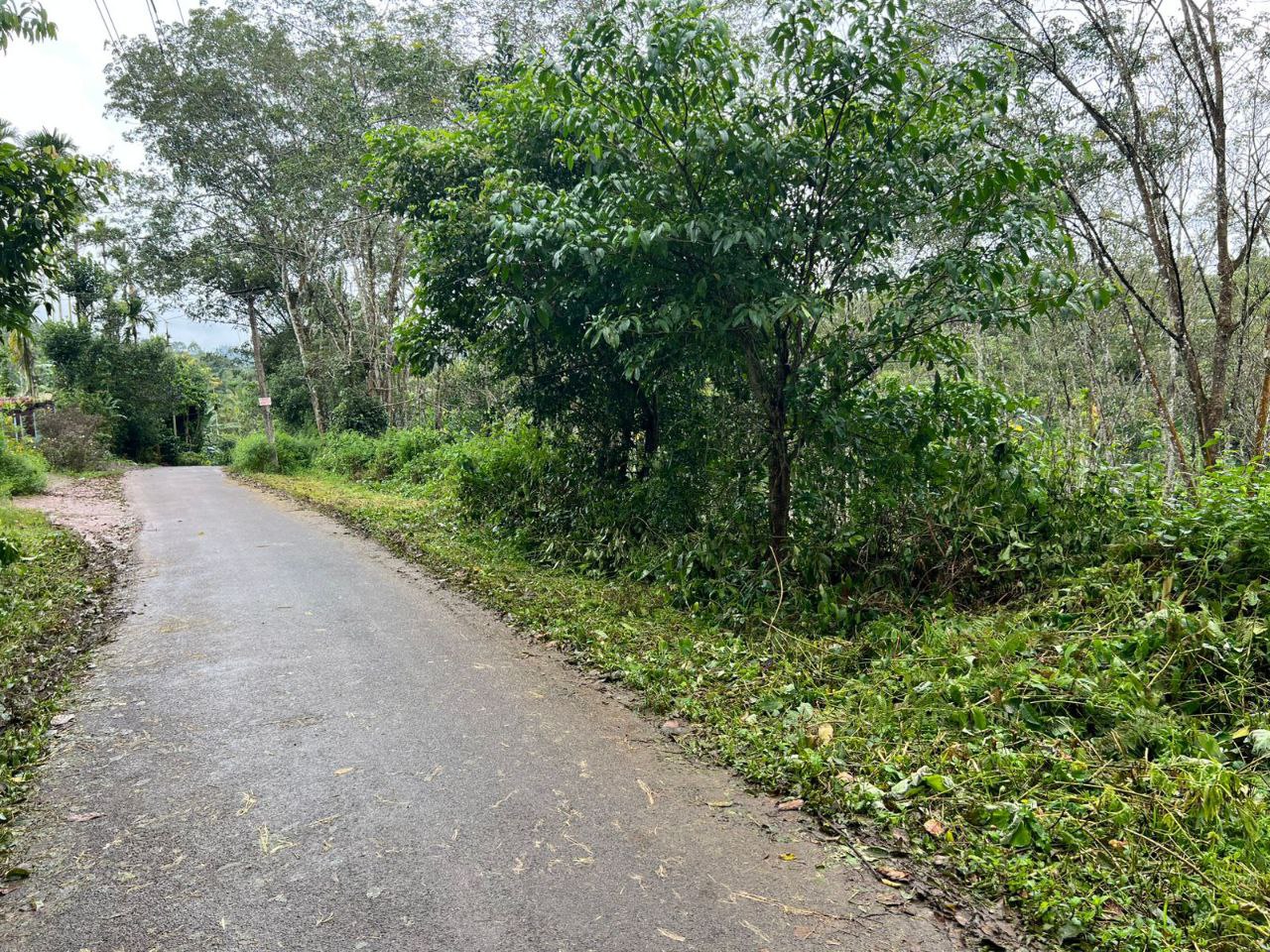 SULTHAN BATHERY TO OOTY ROAD | TAR ROAD FRONTAGE | 1.5 ACRE |