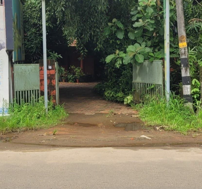 Small Image