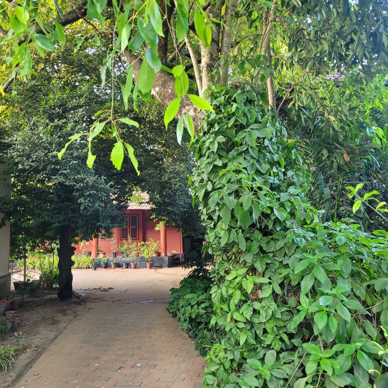 Small Image