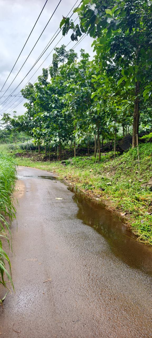 LAND AND OLD HOUSE FOR SALE | 5 ACRE LAND | MANGALAM DAM | 1200 SQFT OLD HOUSE