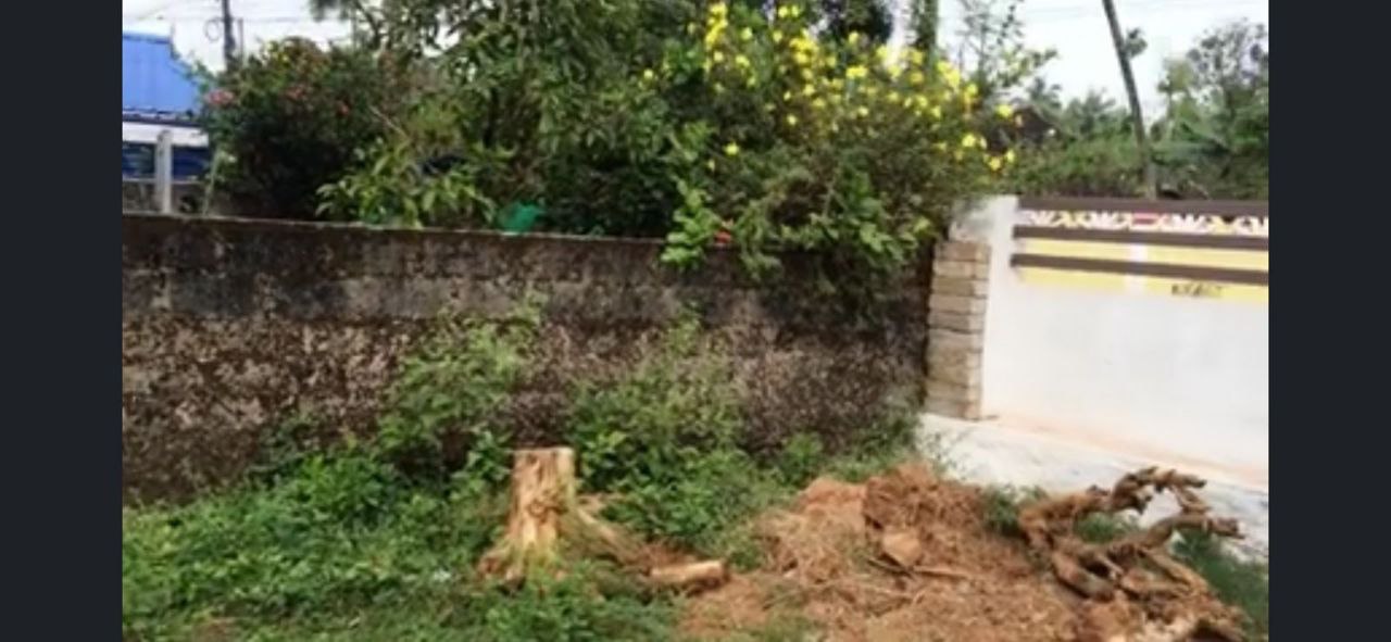 KODAKARA MATTATHUR |LAND FOR SALE | ELECTRICITY CONNECTION | 15 CENT | SUFFICIENT WATER